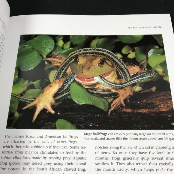 Frogs: A Chorus of Colors; Beautiful Photos & Illustrations; Excellent! 160 pgs - Picture 6 of 9